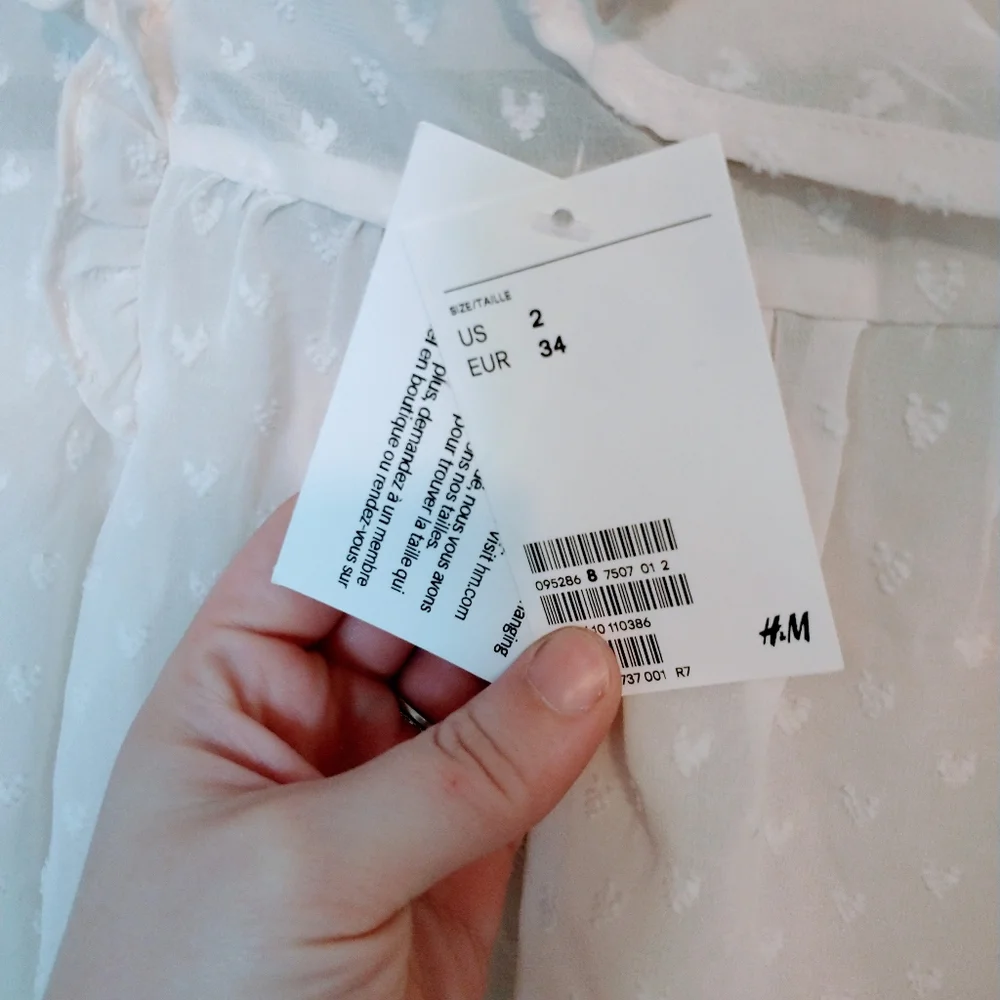 NWT boho cottagecore prairie long sleeve sheer top H&M size 2
